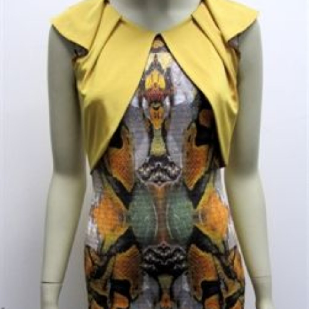 Brand New Paris Dress